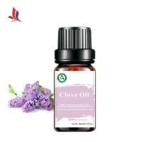 Pure Natural Clove Oil for Daily Fragrance